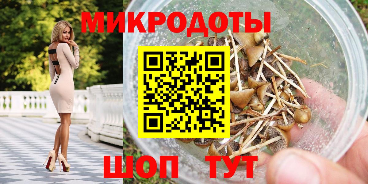 Галлюциногенные грибы Psilocybine cubensis  Вход с VPN  Артёмовский  Галлюциногенные грибы мицелий 