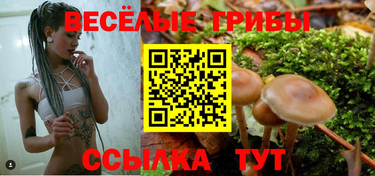 Галлюциногенные грибы мухоморы Артёмовский